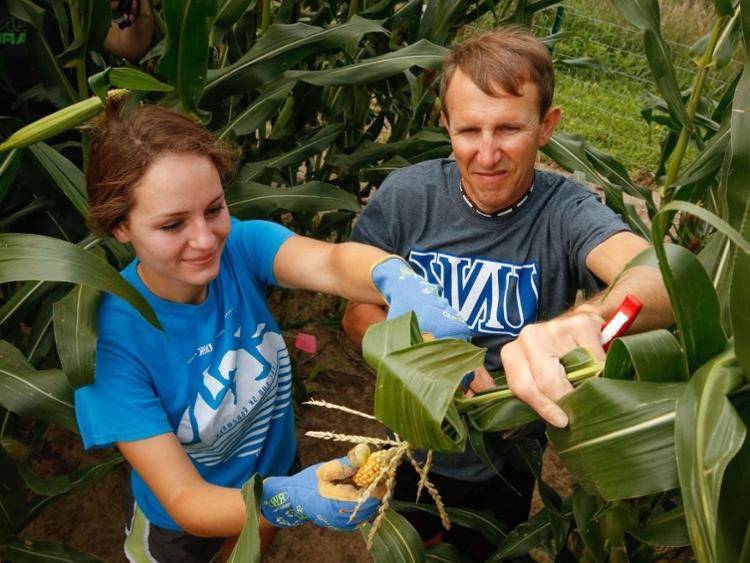 Professor and student pruning